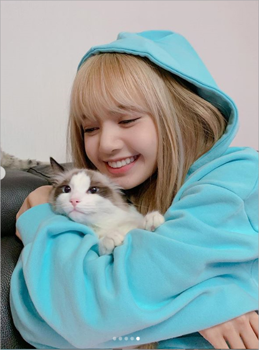 lisa blackpink hoodie