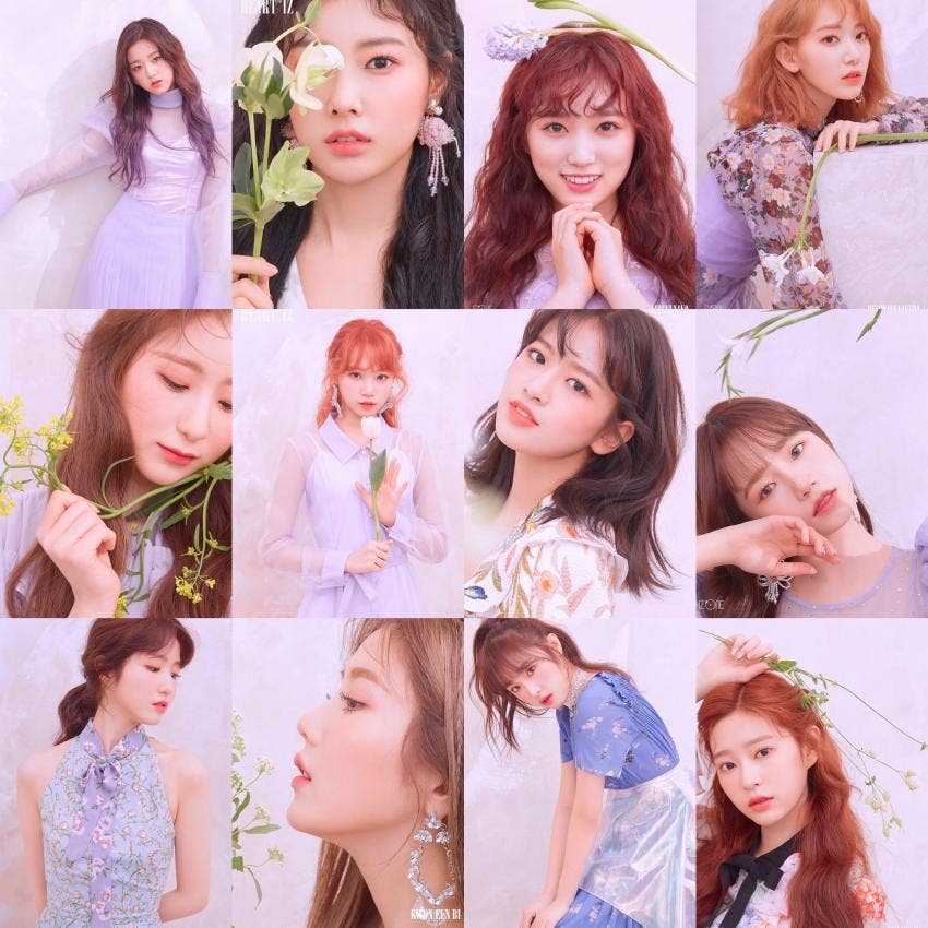 V Live Instagram profile, post, story viewer and downloader, easily view and download instagram photo and videos online. v live