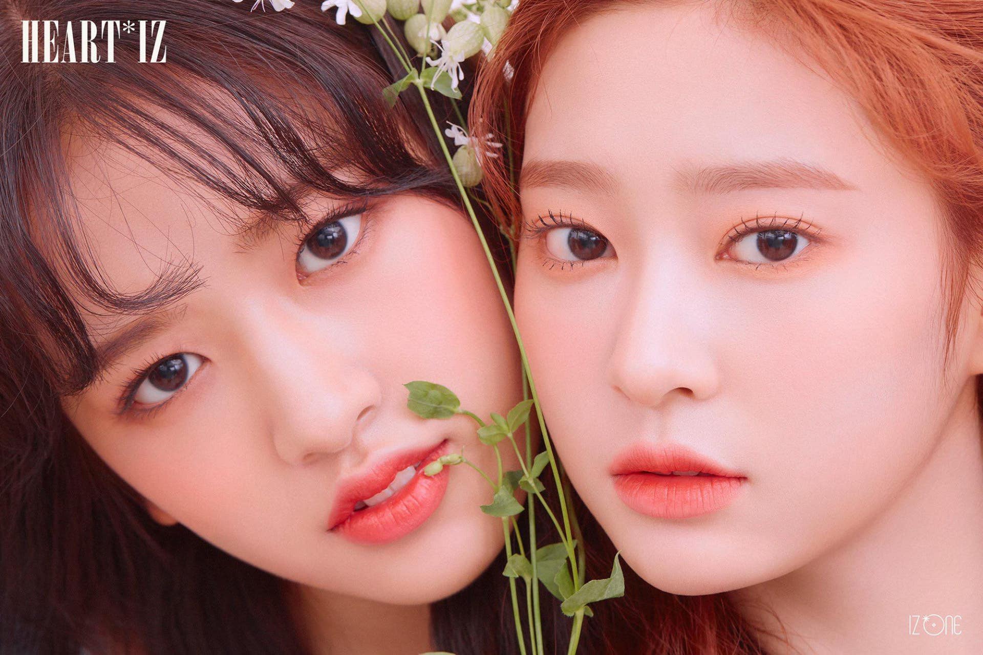 V Live And jang wonyoung and miyawaki sakura are featured on vivi v live