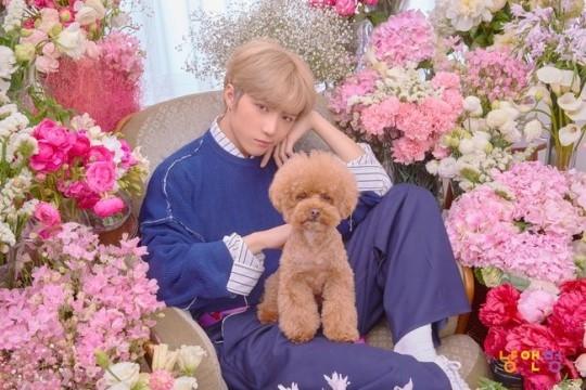 Txt ボムギュ 収録曲 Cat Dog コンセプトフォトを公開 愛くるしい