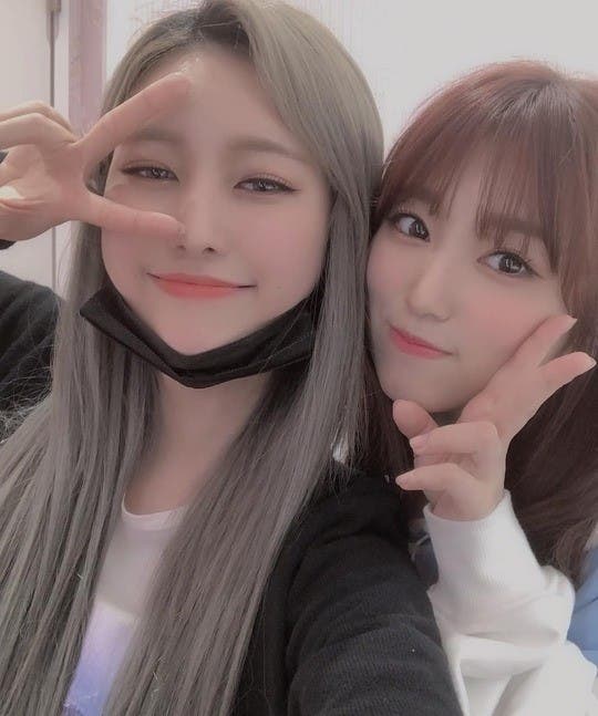 V Live Home » member profiles » yabuki nako (izone/hkt48) profile and facts. v live