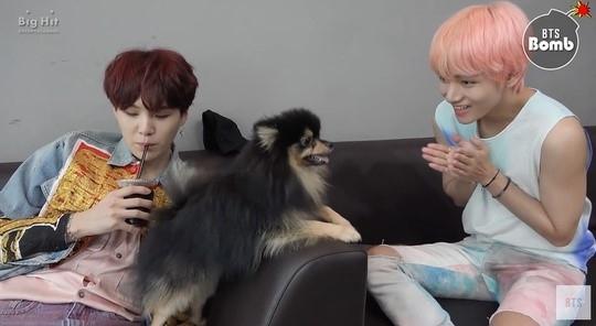 V Live V Live
