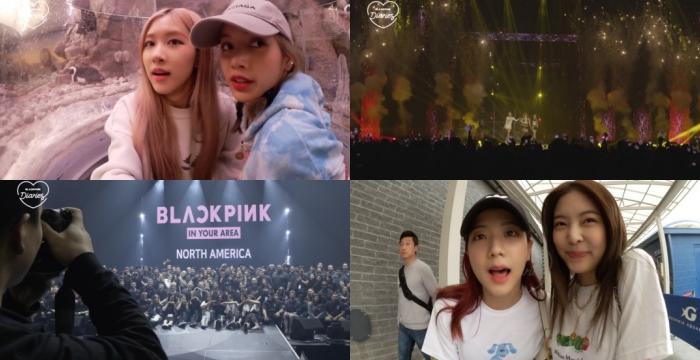 V Live