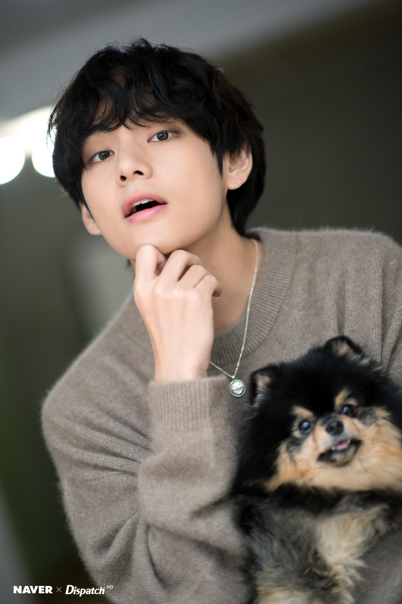 V Bts The Winter Bear Who Was Born To Be Loved