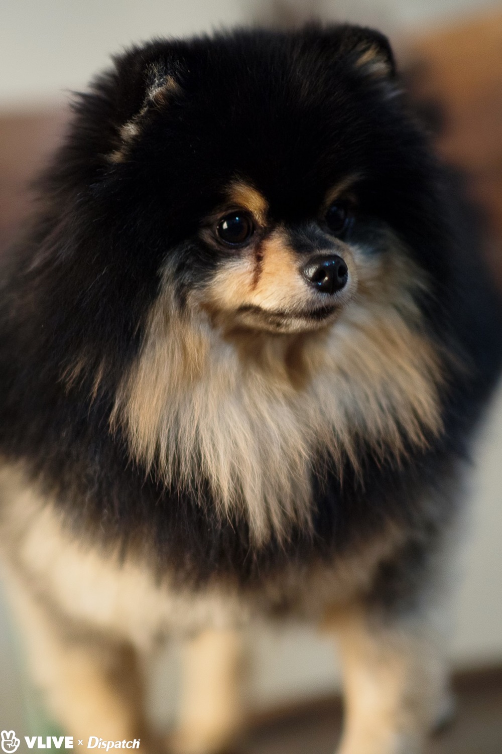  Picture Dispatch BTS   V  With Yeontan B Cut 191231 