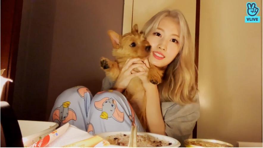 v live