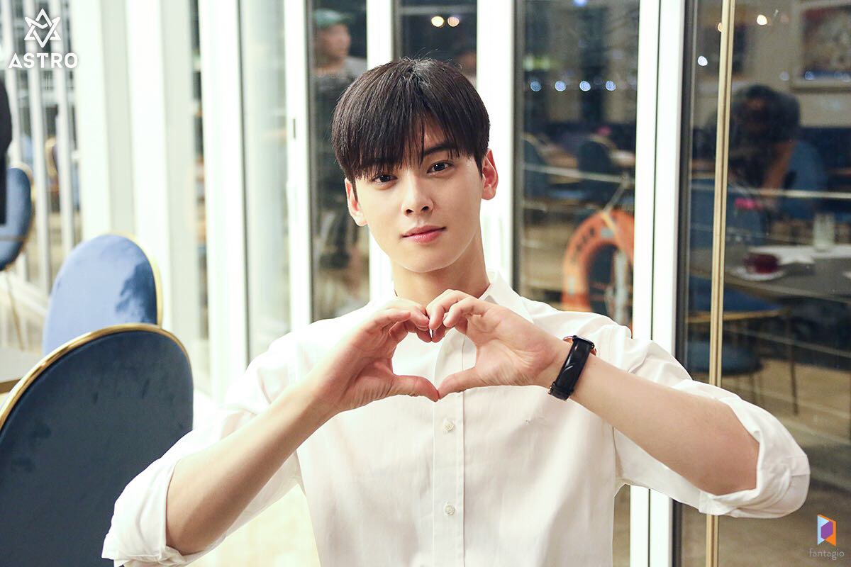 An Ultra Fan Guide to Cha Eun Woo - MyDramaList