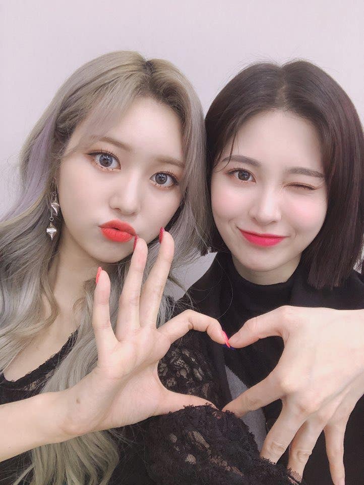 5_i36Ud018svc1ryhagz7p8w07_3apph9.jpg?ty