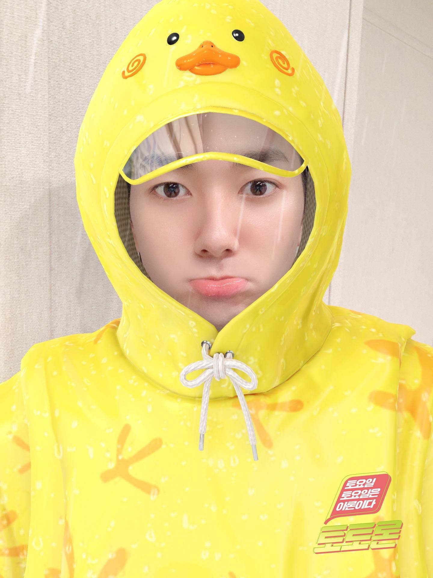 5_823Ud018svcldk4p51h2klp_ddxl7r.jpg?typ